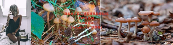 каннабис Володарск