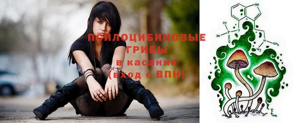 твердый Вязники